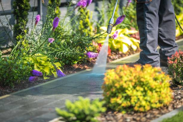 Reliable Balcones Heights, TX Pressure Washing Services Solutions